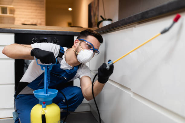 Best Local Pest Control Services  in Eureka, CA
