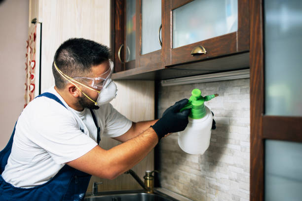 Best Insect Control  in Eureka, CA