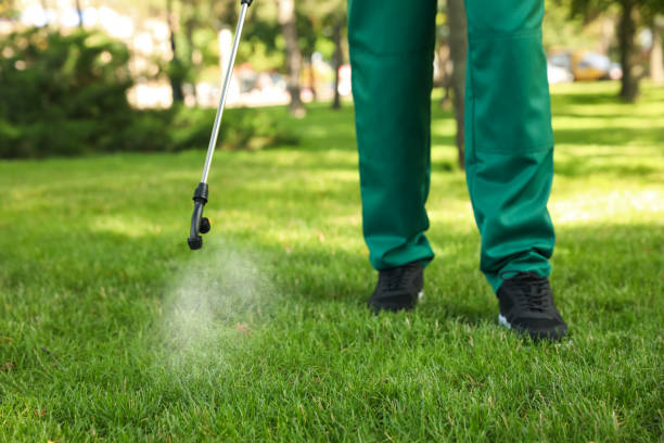 Professional Pest Control in Eureka, CA