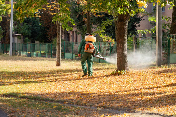 Best Pest Control Cost  in Eureka, CA