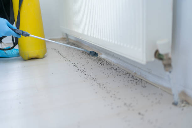 Best Residential Pest Control  in Eureka, CA